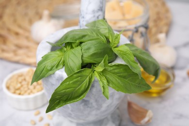 Photo of Fresh basil in mortar on table, closeup. Ingredients for pesto sauce