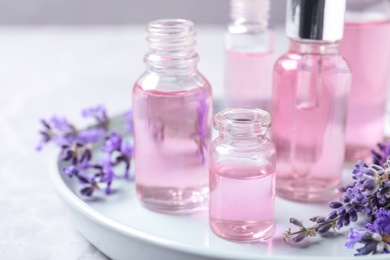 Tray with bottles of lavender essential oil and flowers on table