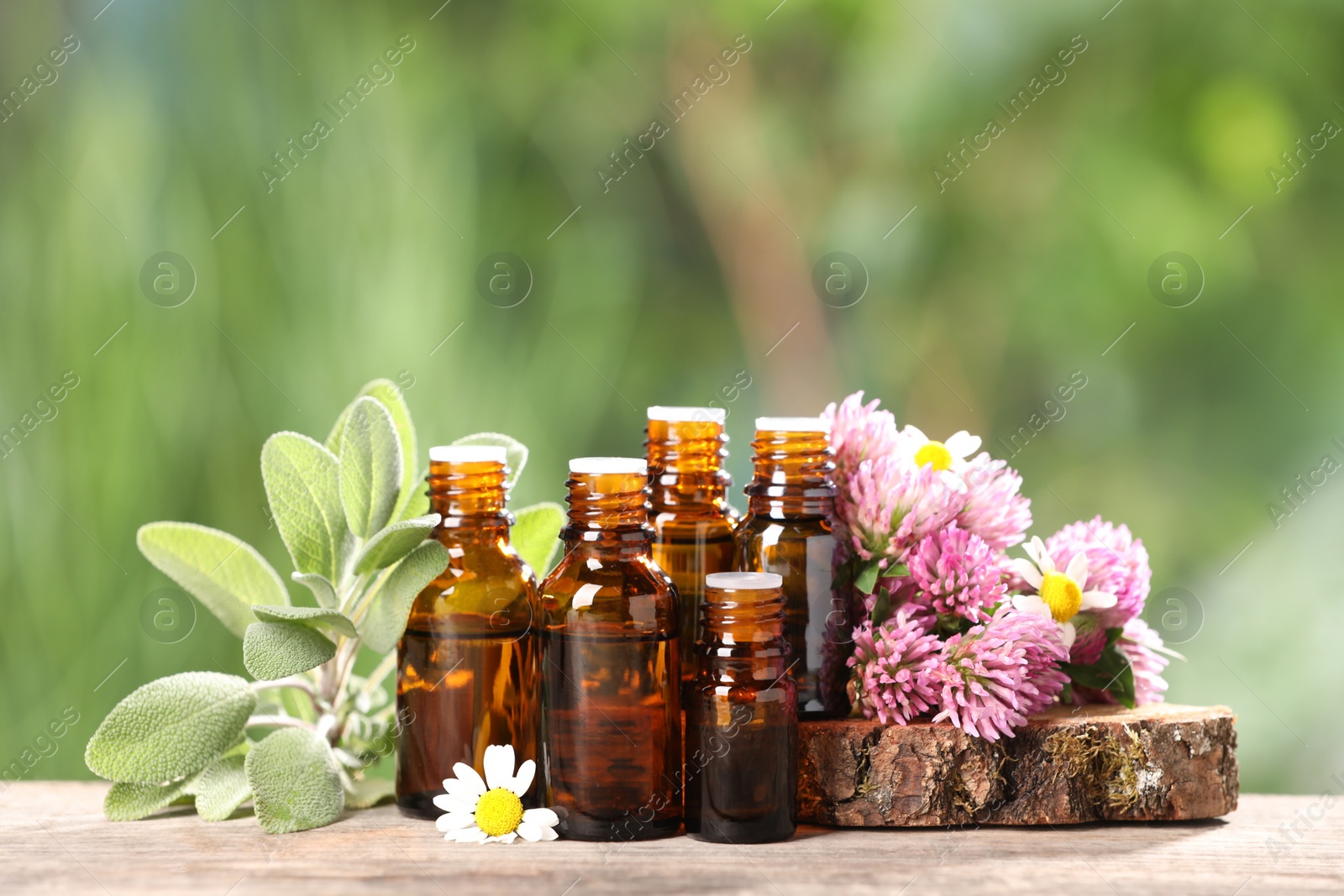 Photo of Bottles with essential oils, herb and flowers on wooden table against blurred green background. Space for text