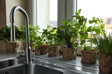 Photo of Different aromatic potted herbs on window sill near kitchen sink