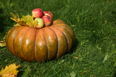 Photo of Ripe pumpkin, maple leaves and apples on green grass outdoors. Autumn harvest