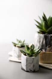 Beautiful potted succulents on light grey table