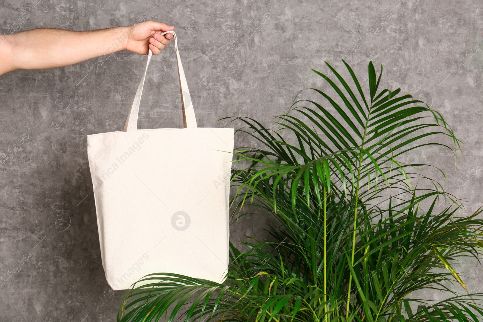 Photo of Young man holding eco bag at indoor palm plant near grey wall