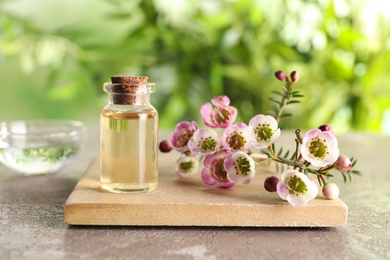 Composition with bottle of natural tea tree oil and plant on table against blurred background