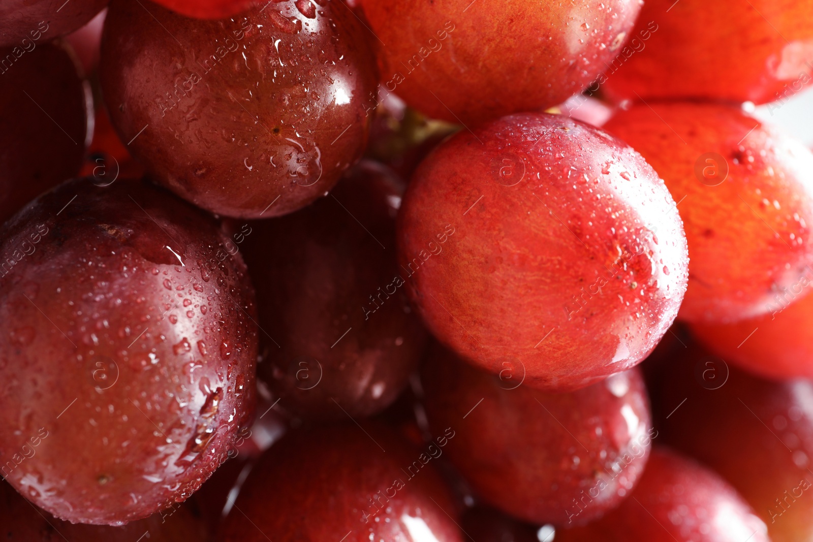 Photo of Bunch of red fresh ripe juicy grapes as background, closeup