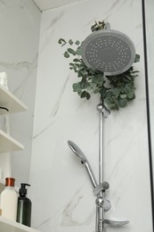 Photo of Branches with green eucalyptus leaves in shower