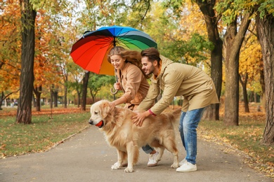Photo of Young couple with umbrella and dog walking in park