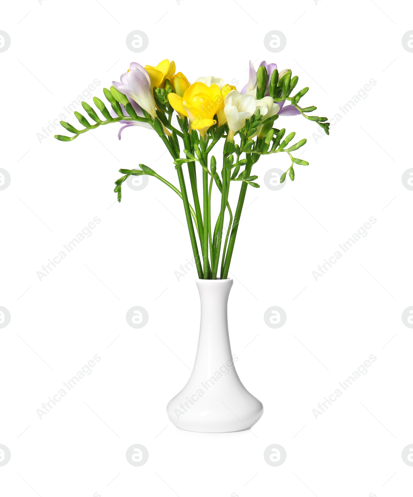 Photo of Bouquet of fresh freesia flowers in vase isolated on white