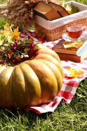 Photo of Pumpkin, hawthorn berries and cup of tea on plaid outdoors. Autumn atmosphere