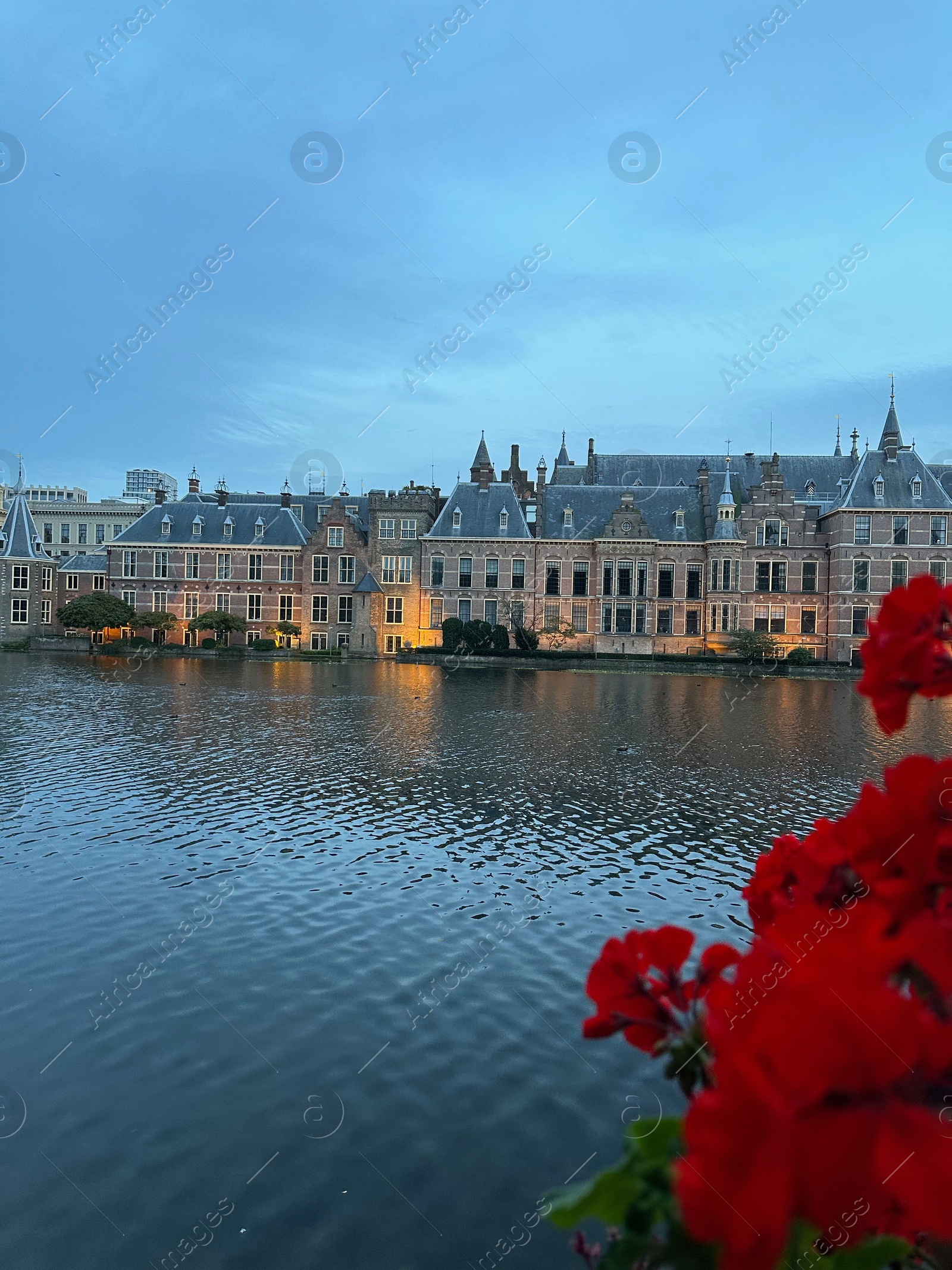 Photo of Beautiful view of red flowers and buildings on riverside in city