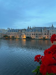 Beautiful view of red flowers and buildings on riverside in city