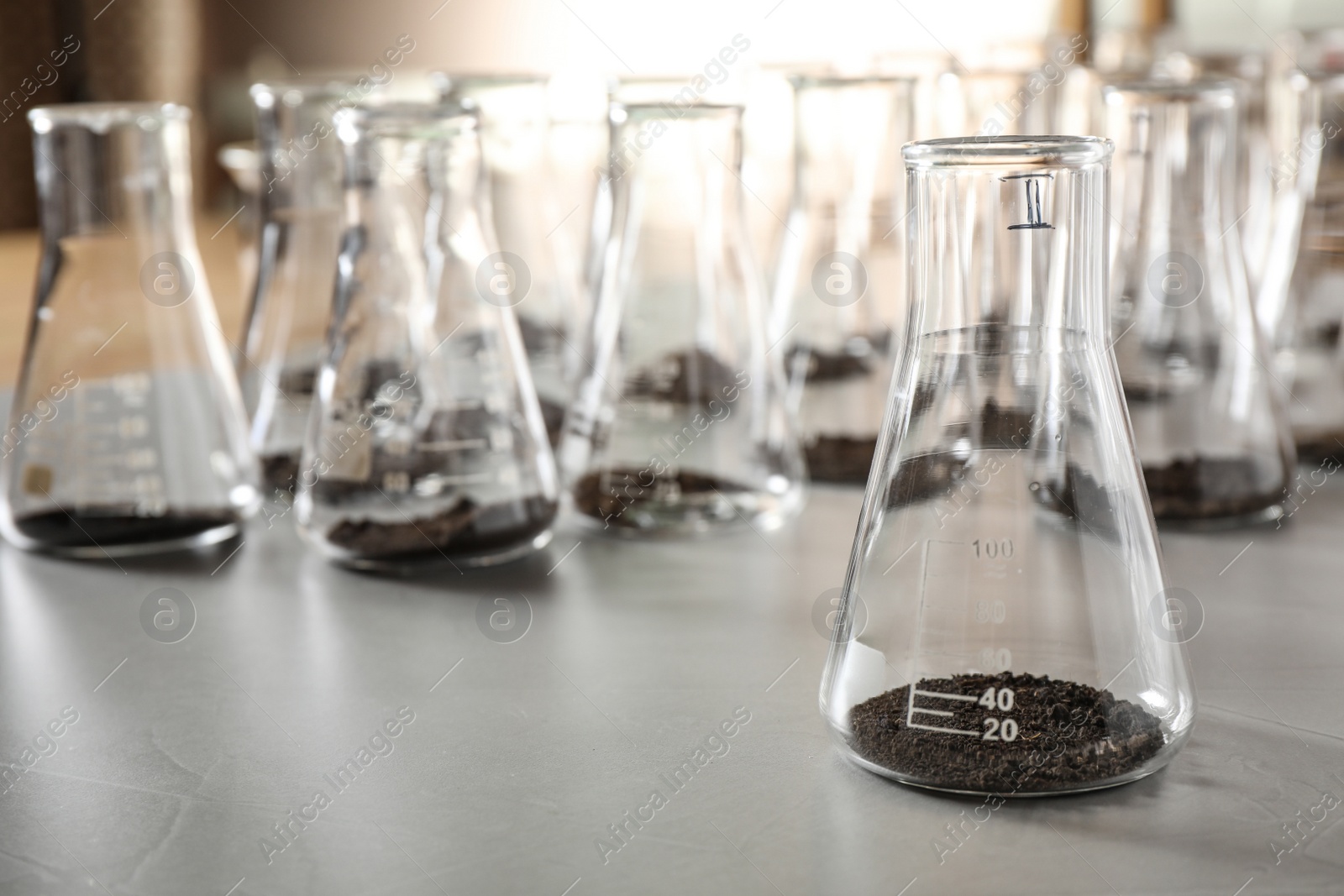 Photo of Glassware with soil samples on grey table. Laboratory research