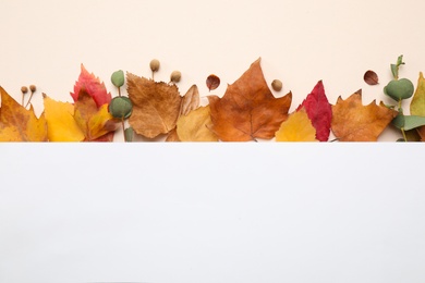 Flat lay composition with autumn leaves and blank card on light background, space for text