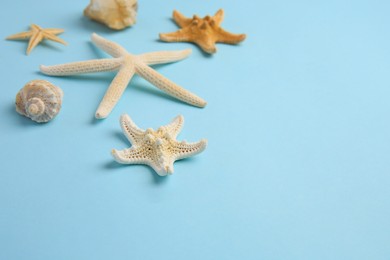 Photo of Beautiful starfishes and sea shell on light blue background. Space for text