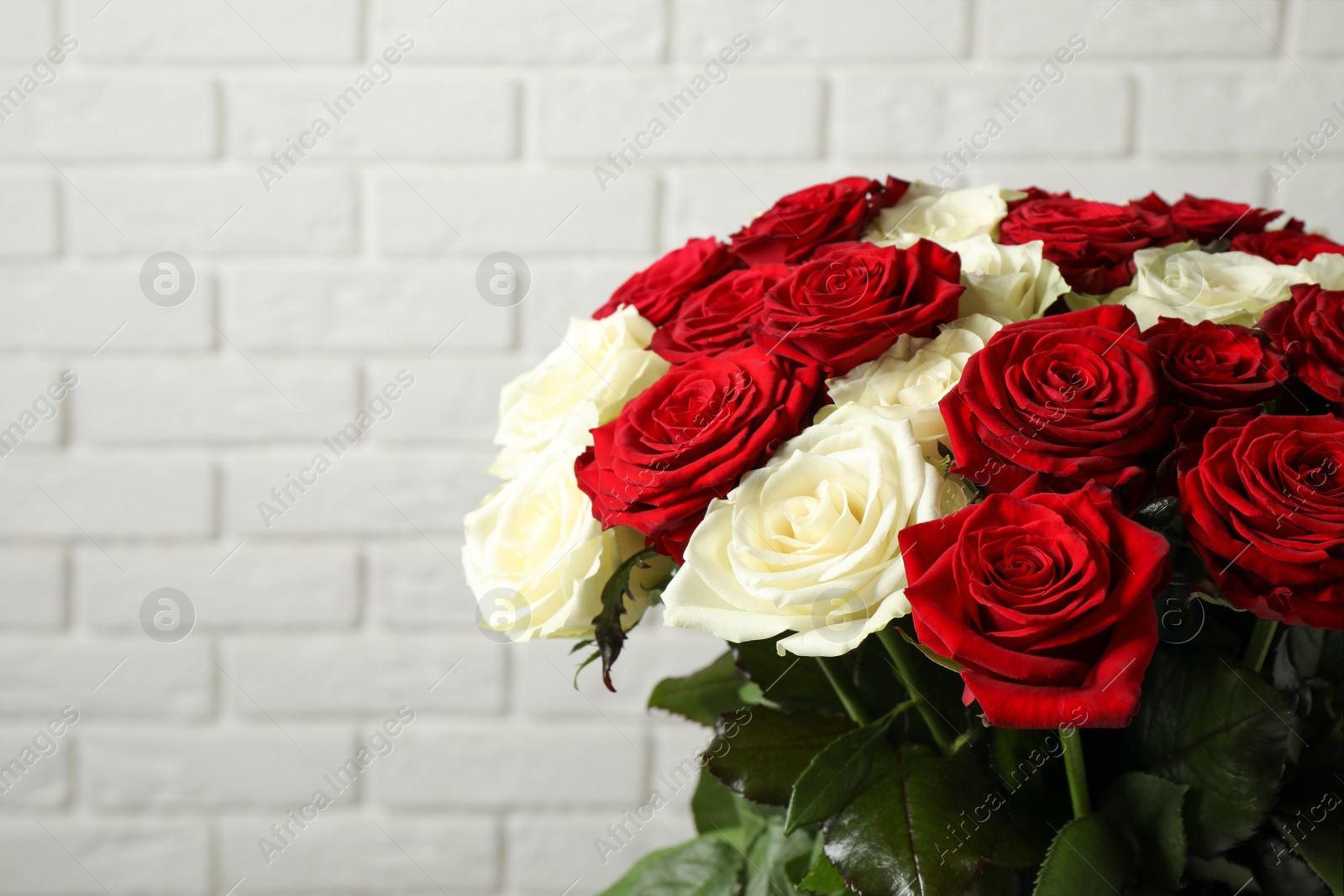 Photo of Luxury bouquet of fresh roses near white brick wall, closeup. Space for text