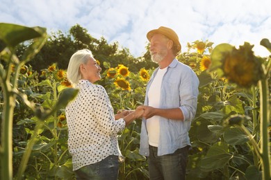 Happy mature couple in sunflower field on summer day