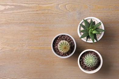 Photo of Different succulent plants in pots on wooden table, flat lay. Space for text