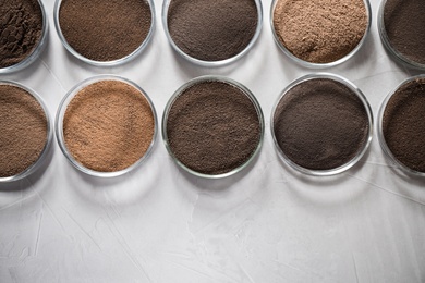 Petri dishes with soil samples on grey table, flat lay. Laboratory research