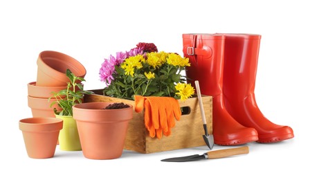 Photo of Beautiful flowers, pots, rubber boots and gardening tools isolated on white