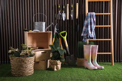 Beautiful plants, gardening tools and accessories on green grass near wood slat wall