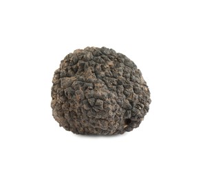 One whole black truffle isolated on white