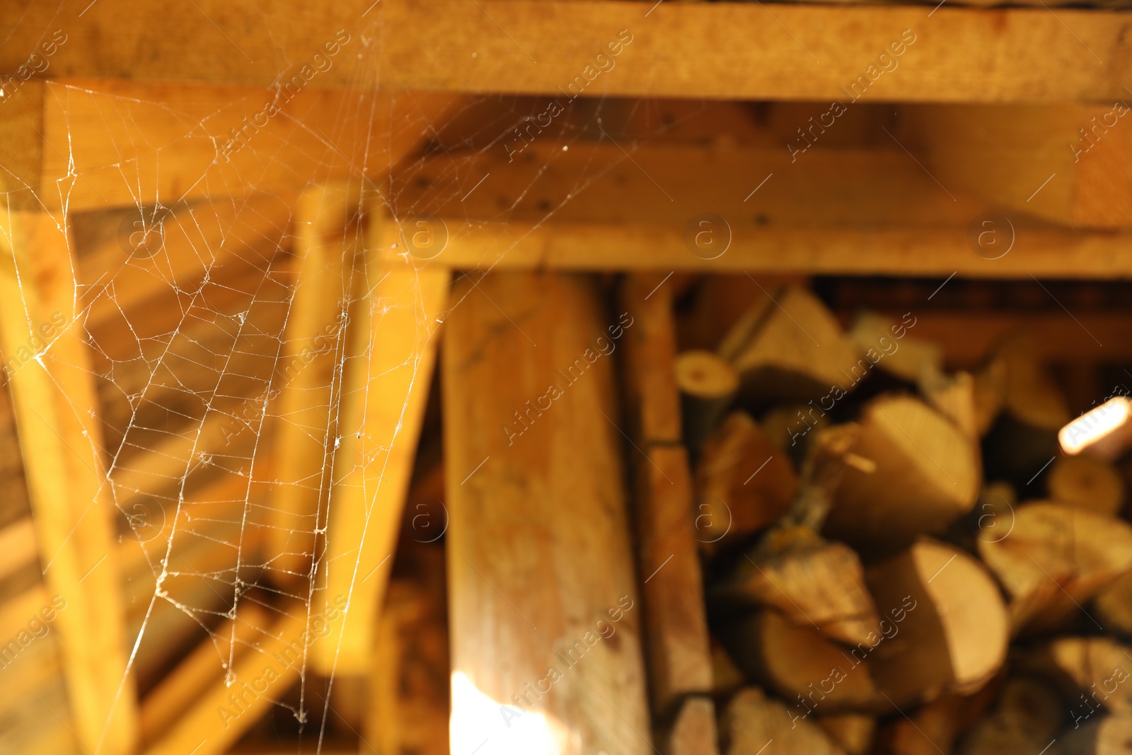 Photo of Cobweb on wooden building outdoors, closeup. Space for text