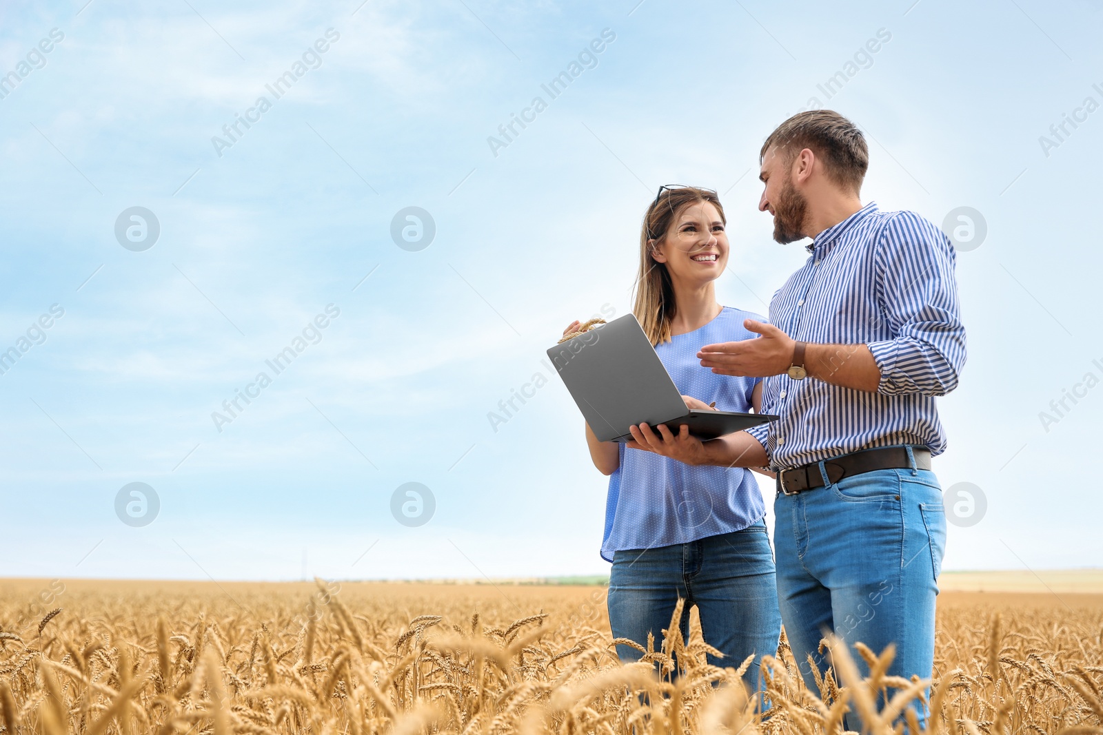 Photo of Young agronomists in grain field. Cereal farming