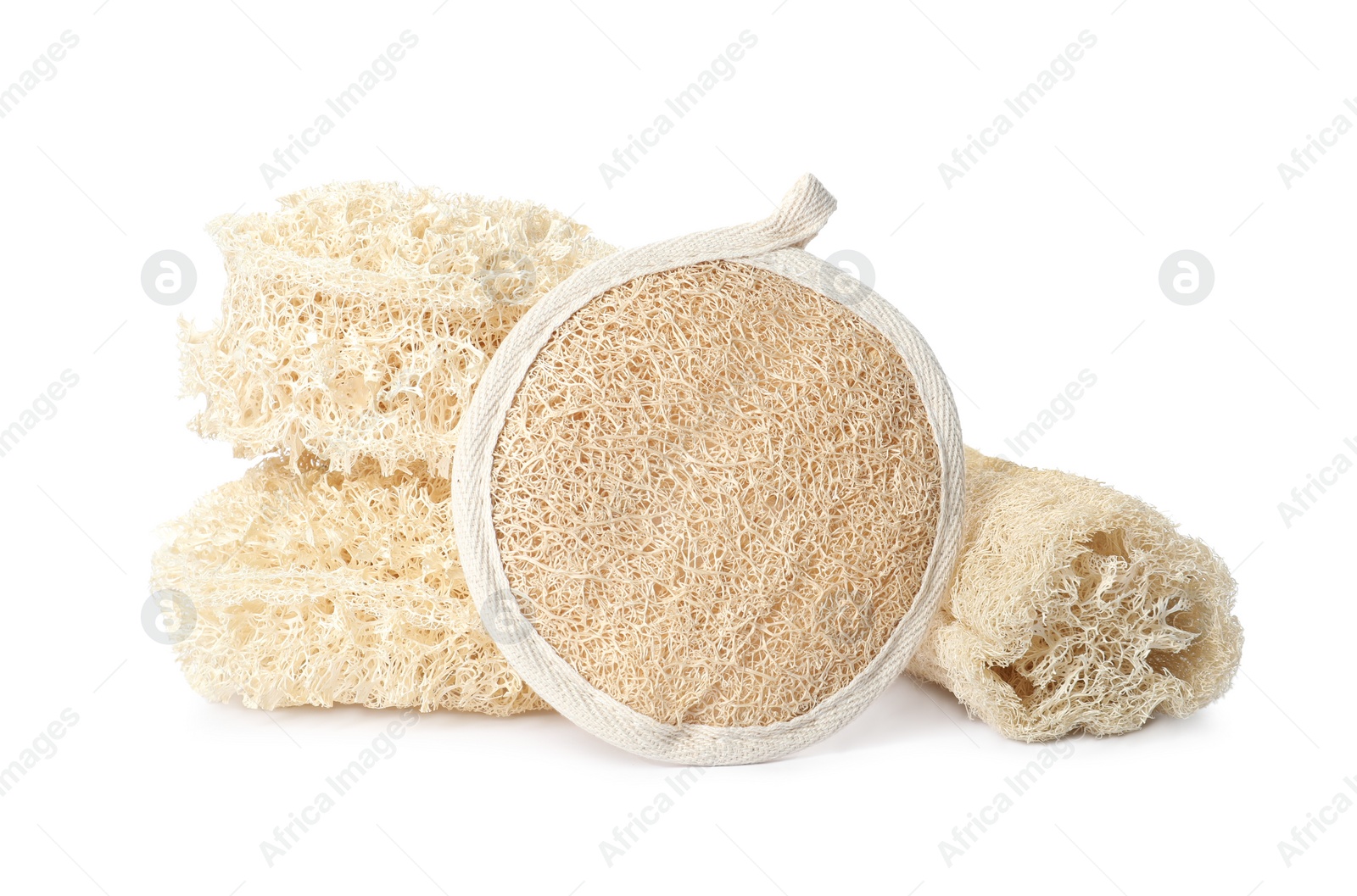 Photo of Natural shower loofah sponges on white background