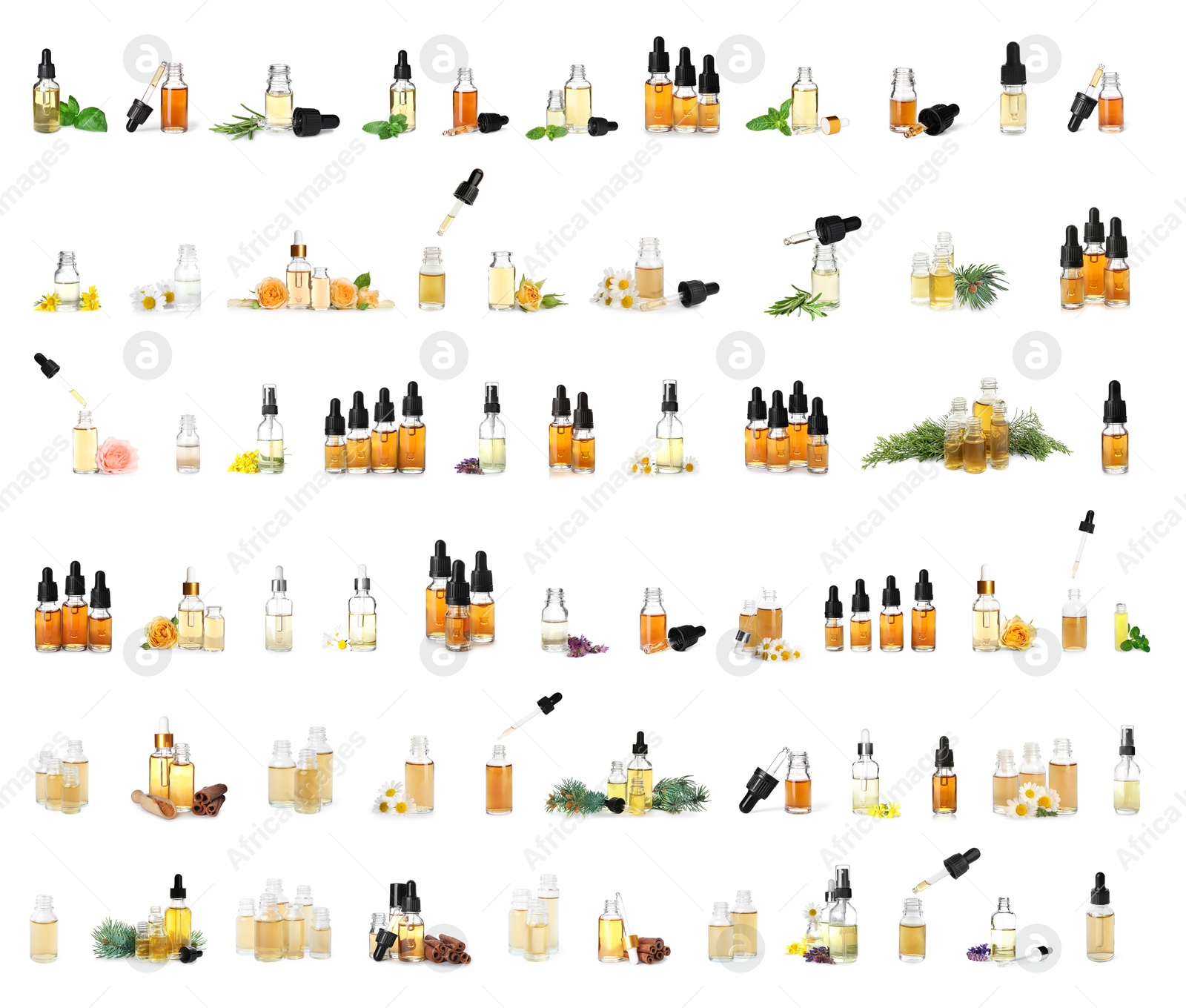 Image of Set with bottles of different essential oils on white background