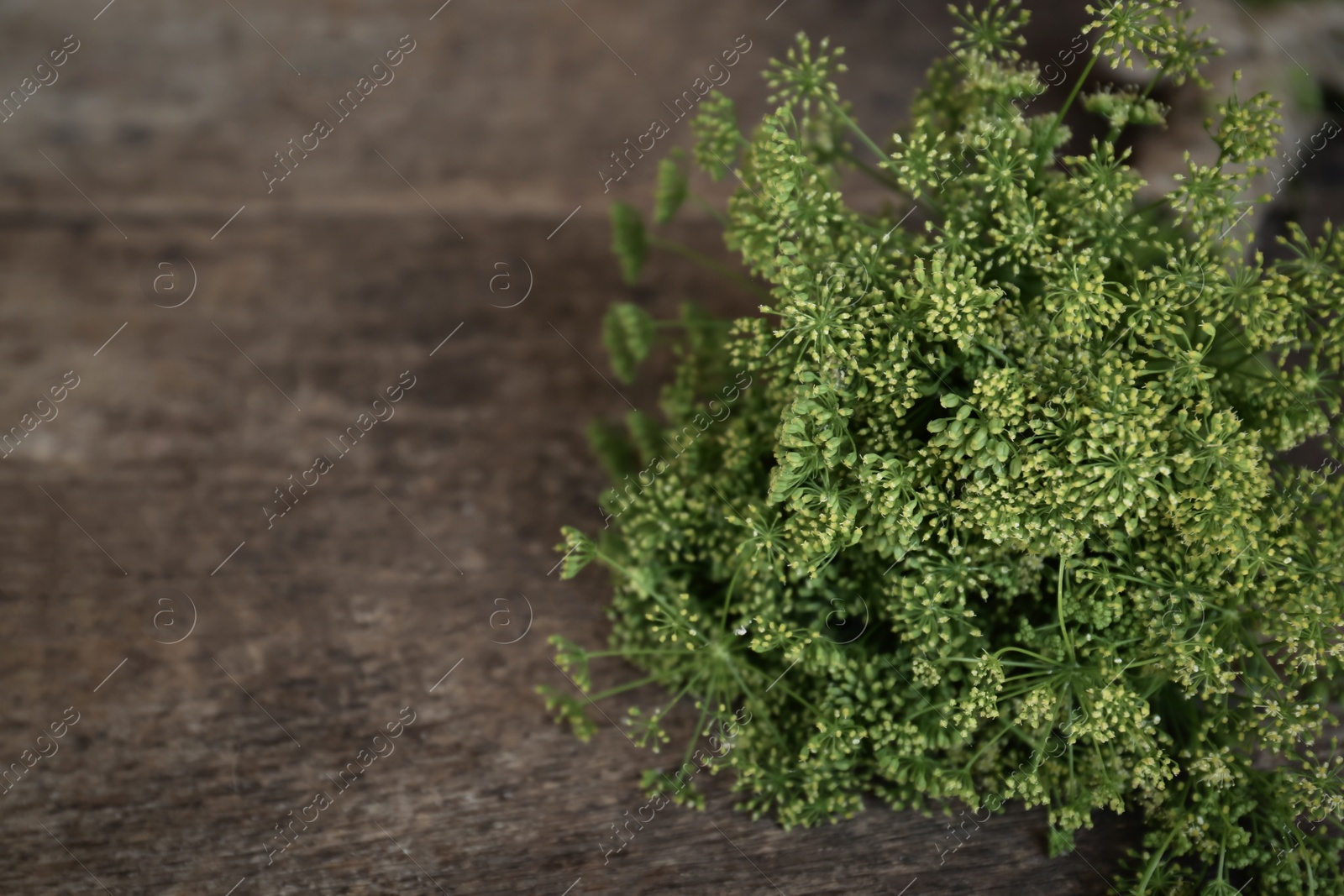 Photo of Bunch of beautiful blossom dill on wooden table, closeup. Space for text