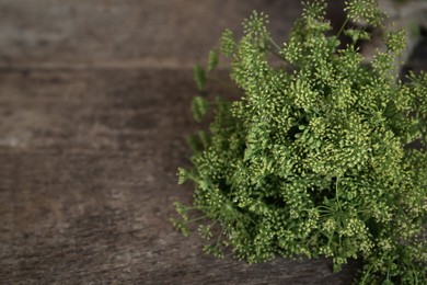Bunch of beautiful blossom dill on wooden table, closeup. Space for text