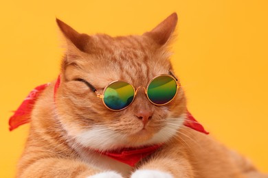 Photo of Portrait of cute ginger cat in stylish sunglasses and bandana on yellow background, closeup