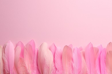 Photo of Beautiful feathers on pink background, flat lay. Space for text