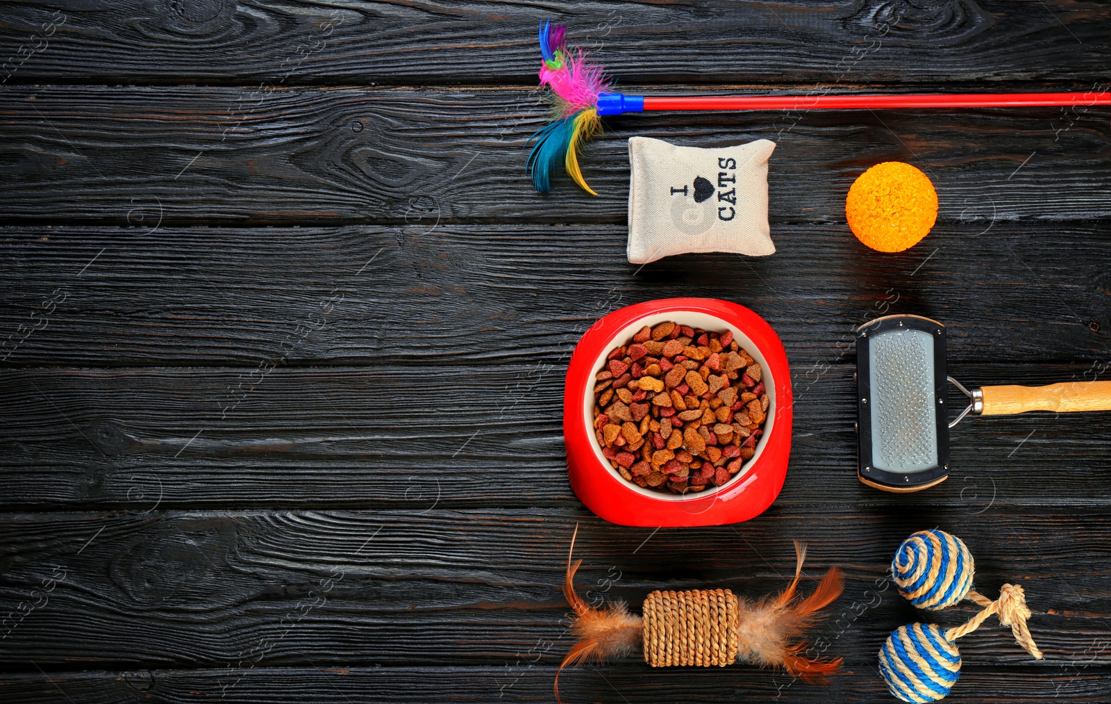 Photo of Cat's accessories and food on wooden background