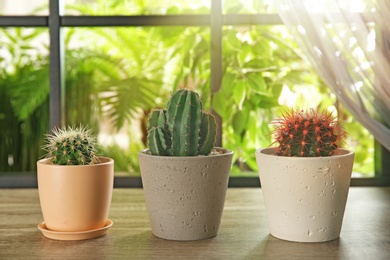 Photo of Beautiful cacti on wooden window sill indoors