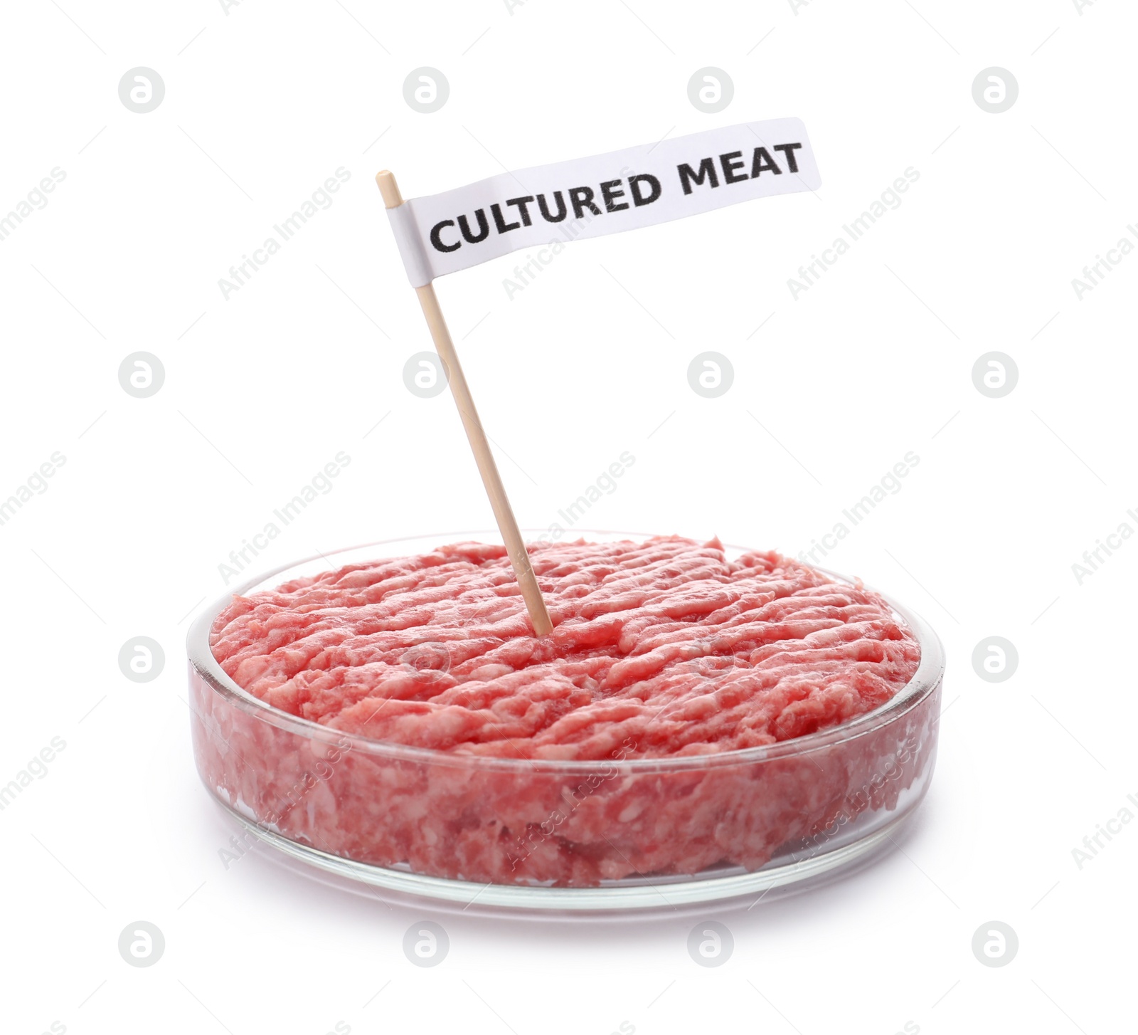 Photo of Petri dish with raw minced cultured meat and toothpick label on white background