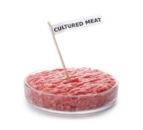 Photo of Petri dish with raw minced cultured meat and toothpick label on white background