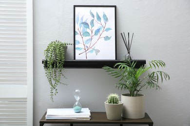 Photo of Beautiful potted plants and different accessories near grey wall indoors. Interior design
