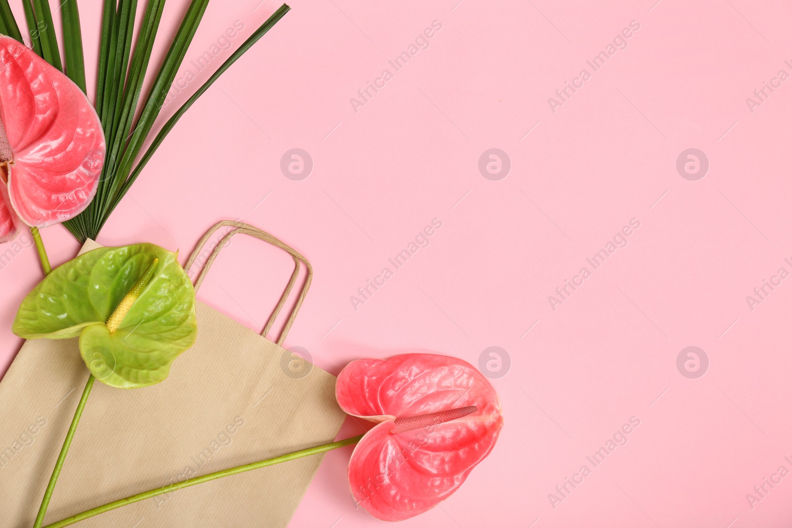 Photo of Stylish flat lay composition with shopping bag, tropical leaf and flowers on color background