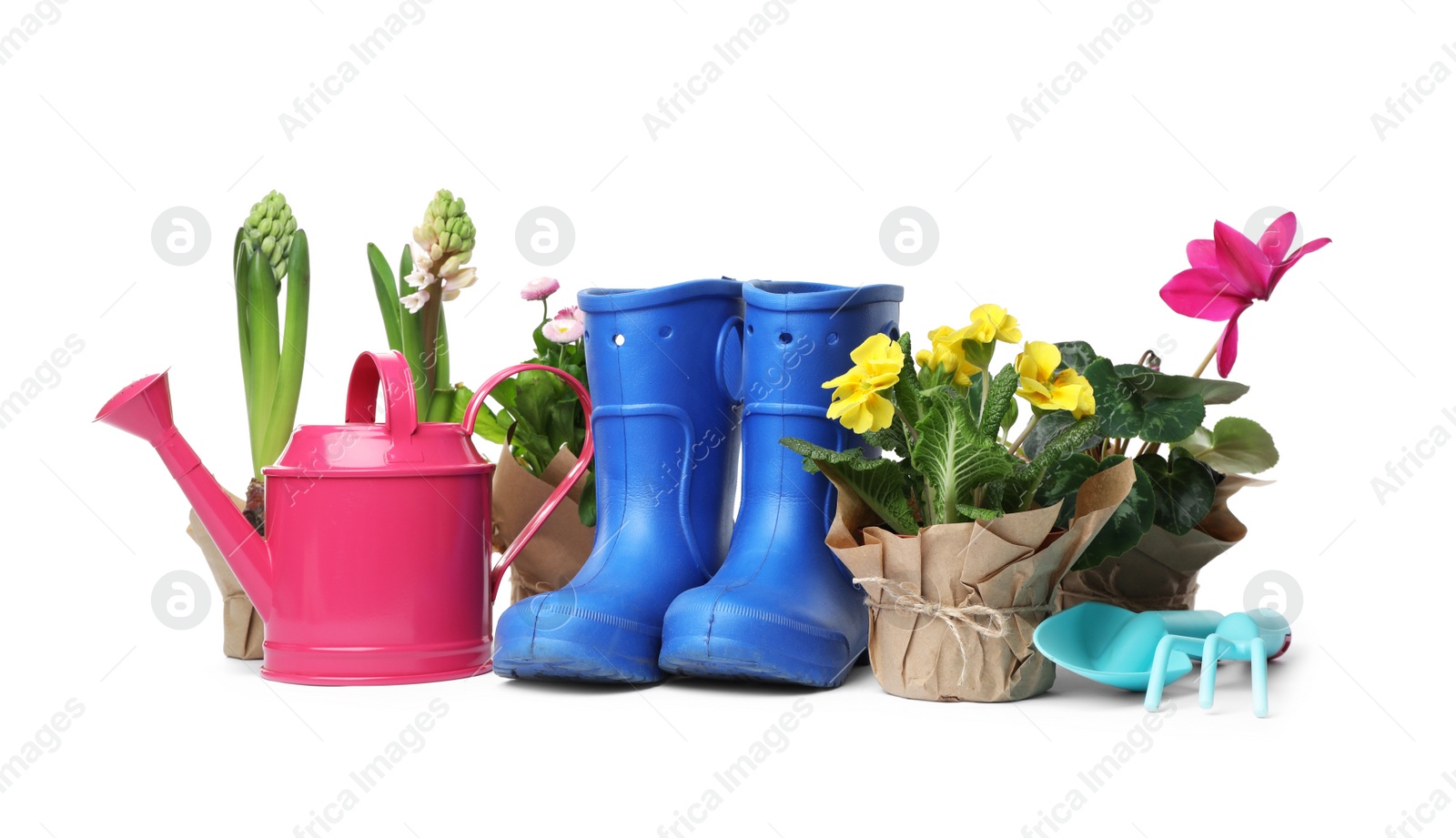 Photo of Composition with plants and gardening tools on white background