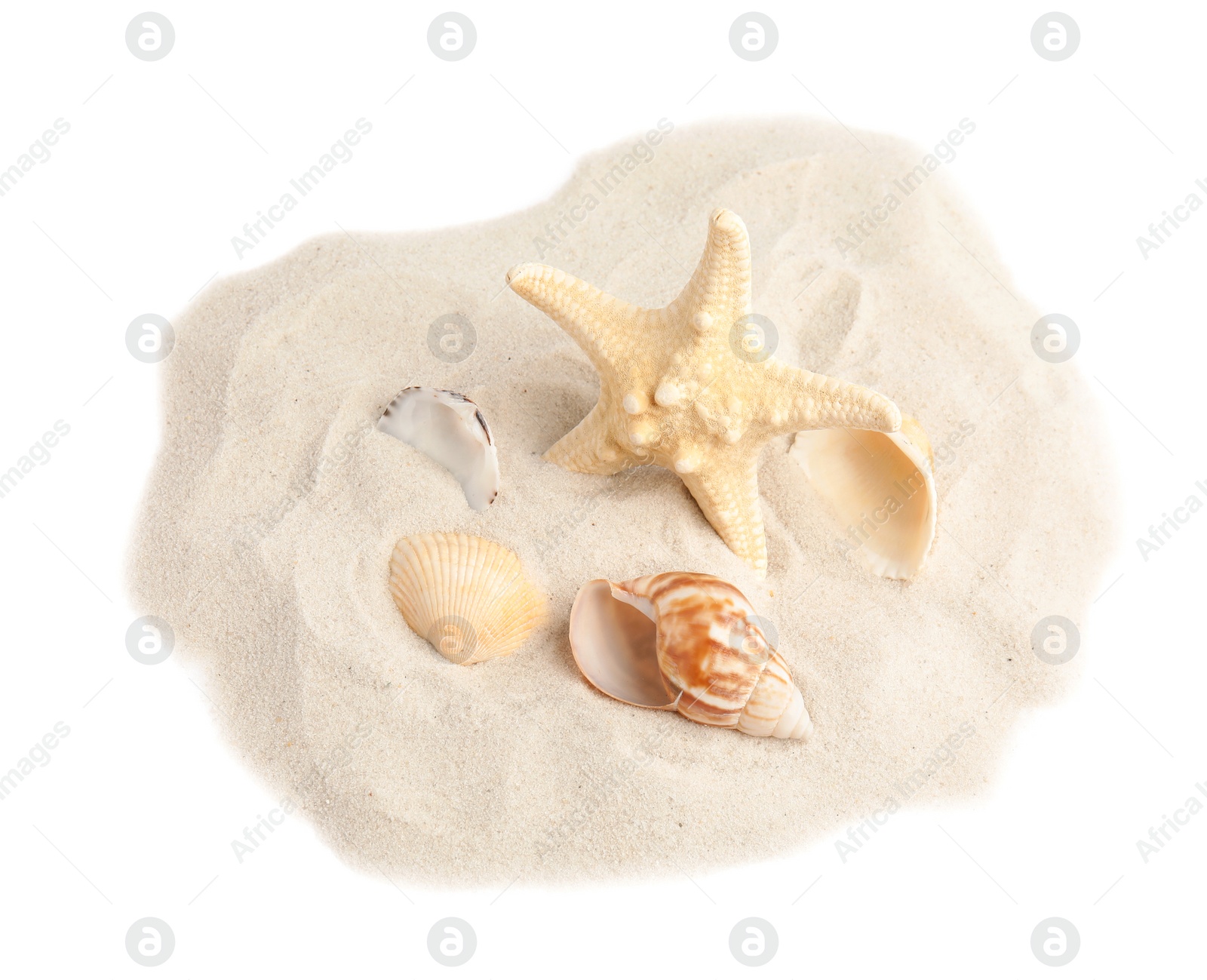 Photo of Pile of beach sand with beautiful starfish and sea shells on white background, top view