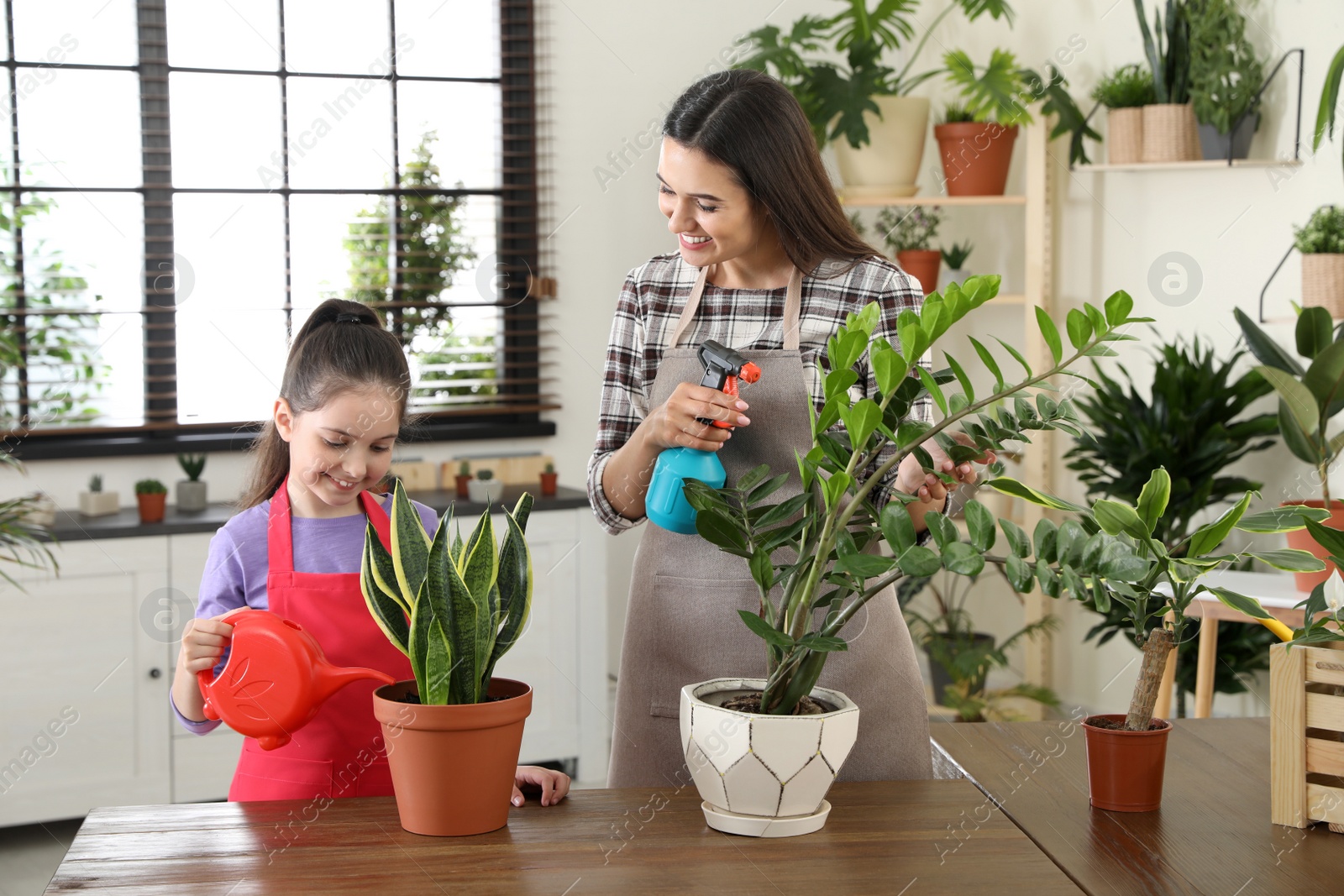 Photo of Mother and daughter taking care of plants at home