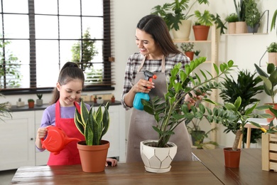 Mother and daughter taking care of plants at home