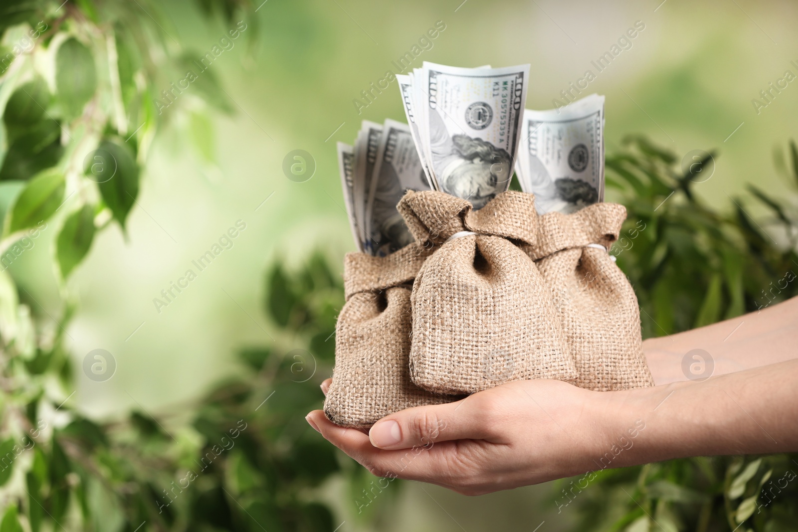 Photo of Woman holding sacks with dollars on blurred background, closeup. Money savings