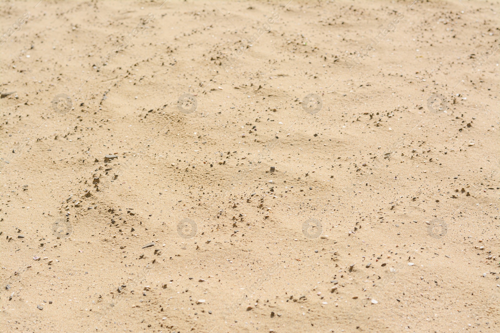 Photo of Texture of sandy beach as background, closeup