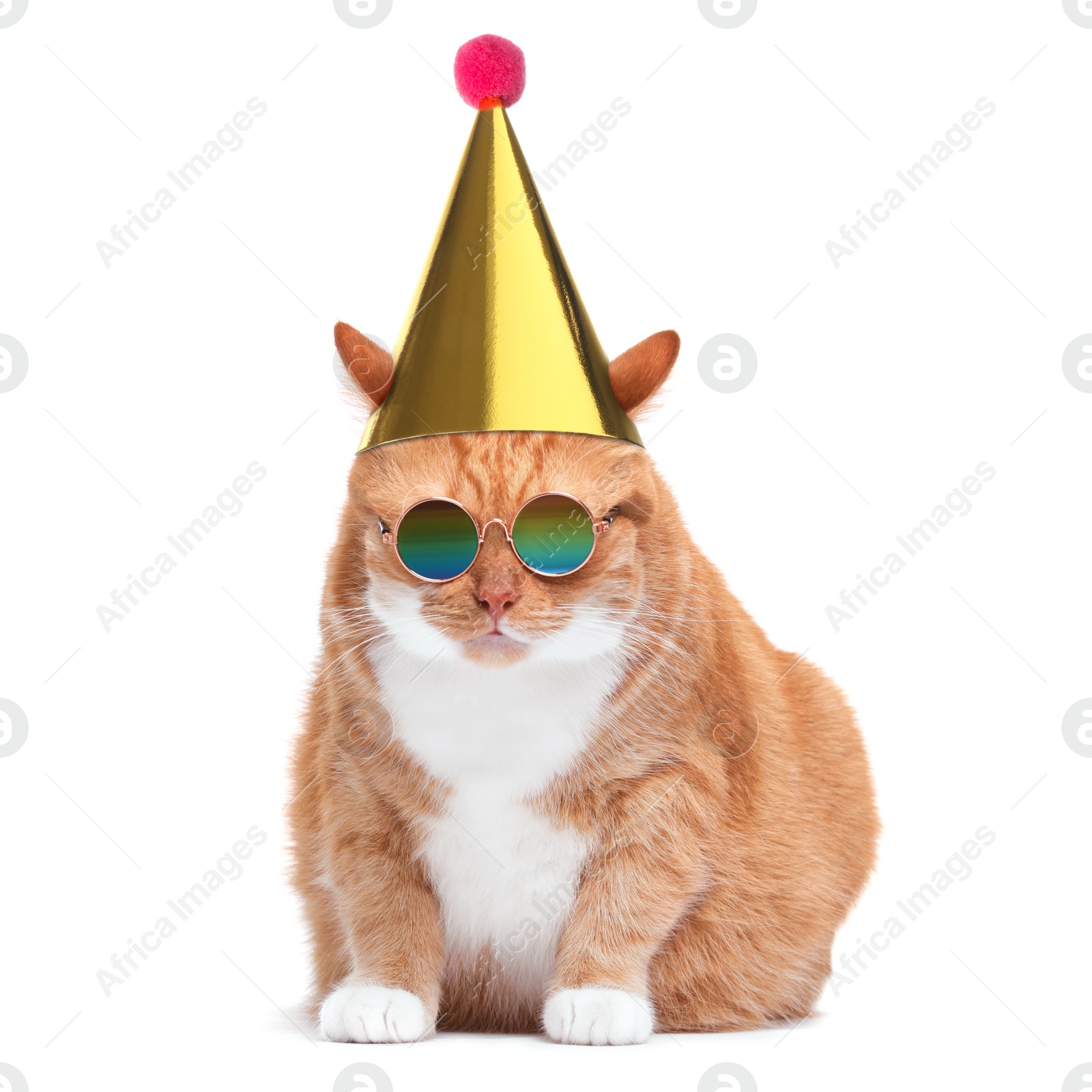 Image of Cute cat with party hat and sunglasses on white background