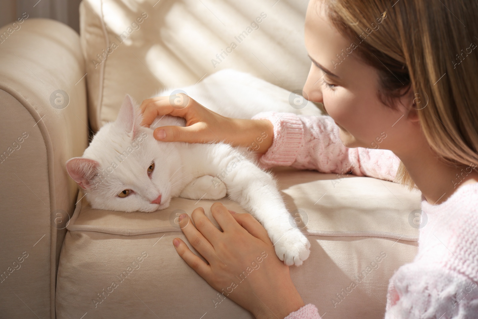 Photo of Young woman with her beautiful white cat at home, closeup. Fluffy pet