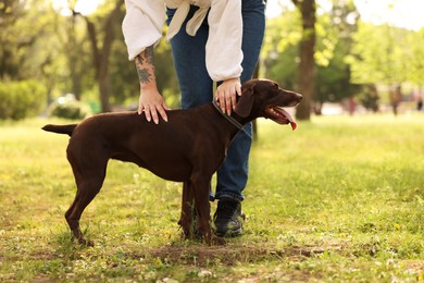 Woman with her cute German Shorthaired Pointer dog in park on spring day, closeup