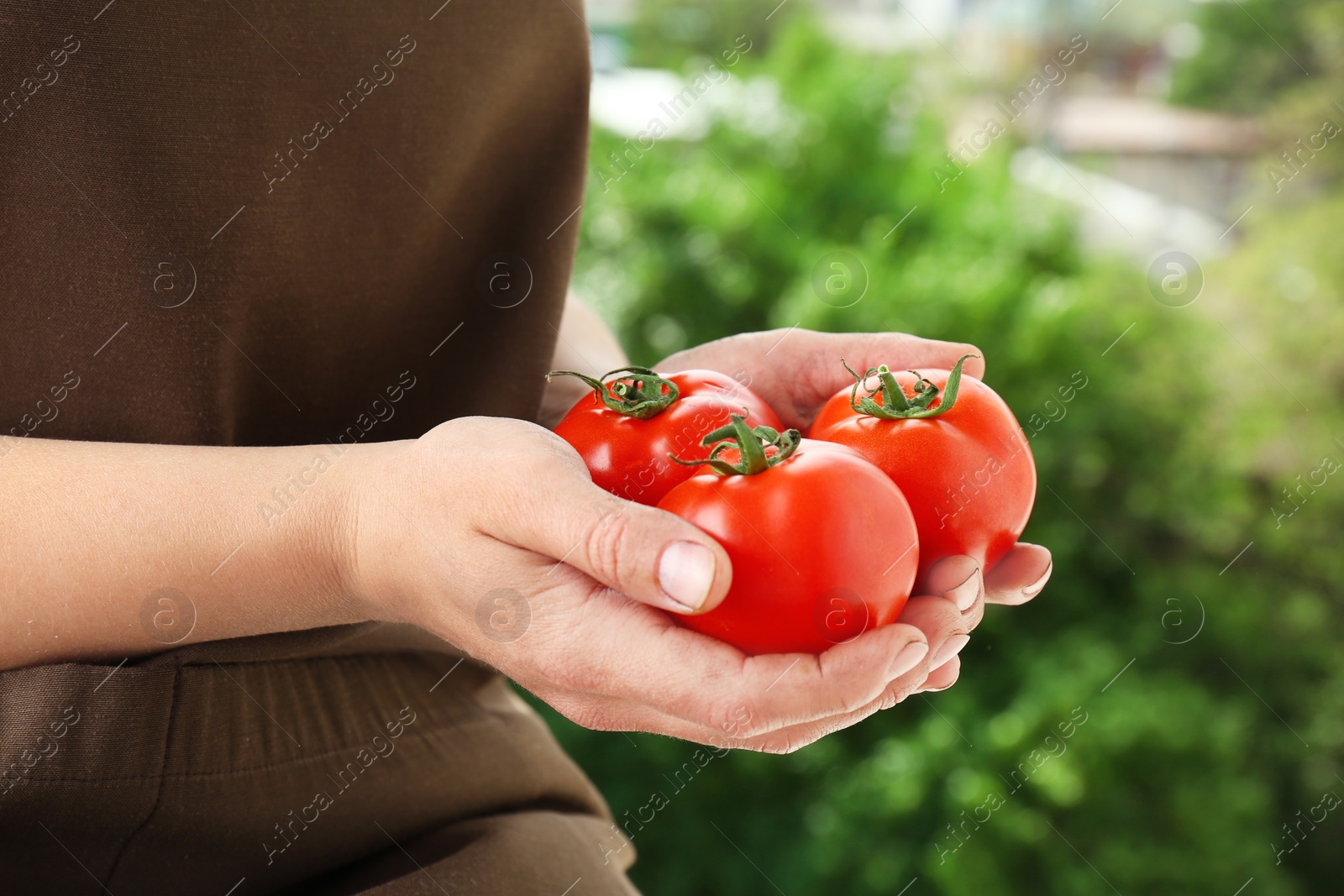 Photo of Farmer holding ripe tomatoes on blurred background, closeup