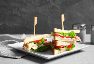 Tasty toast sandwiches on plate. Wheat bread